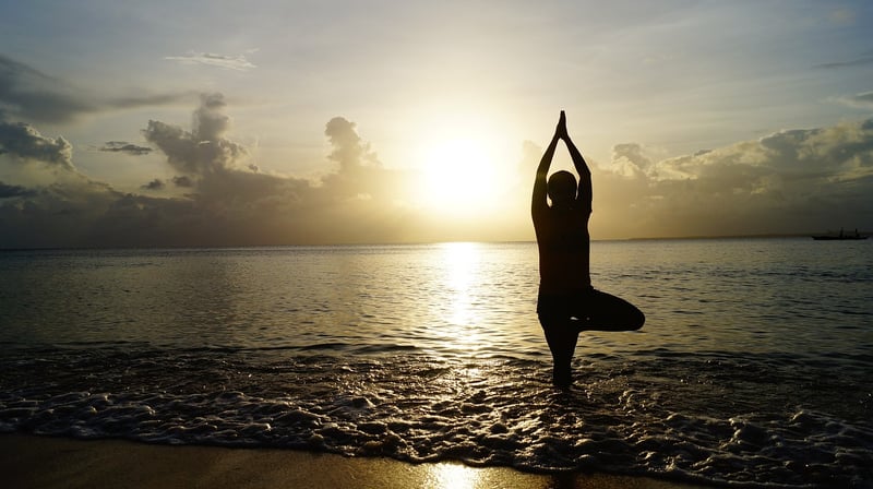 Mindful Meditation